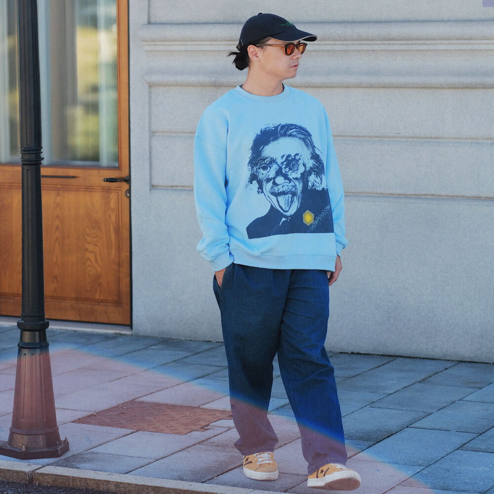 愛因斯坦印花大學TEE THE ALBERT SWEATSHIRT