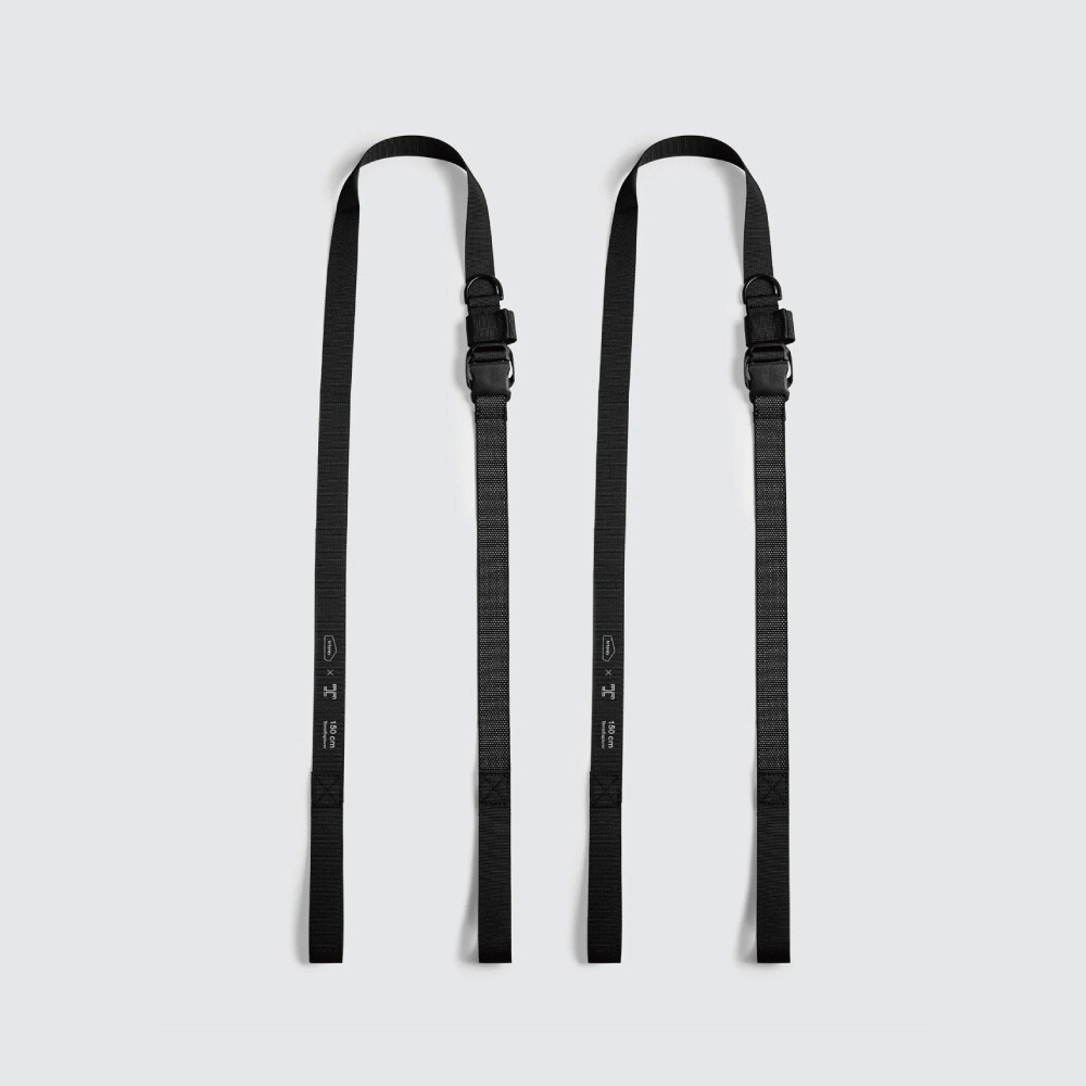 TerraExplorer 行李固定帶 2入