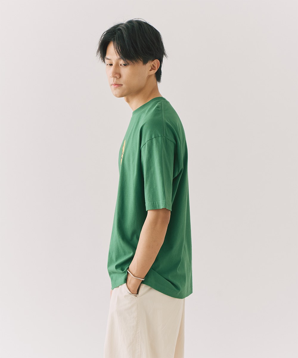 電療小虎圖TEE