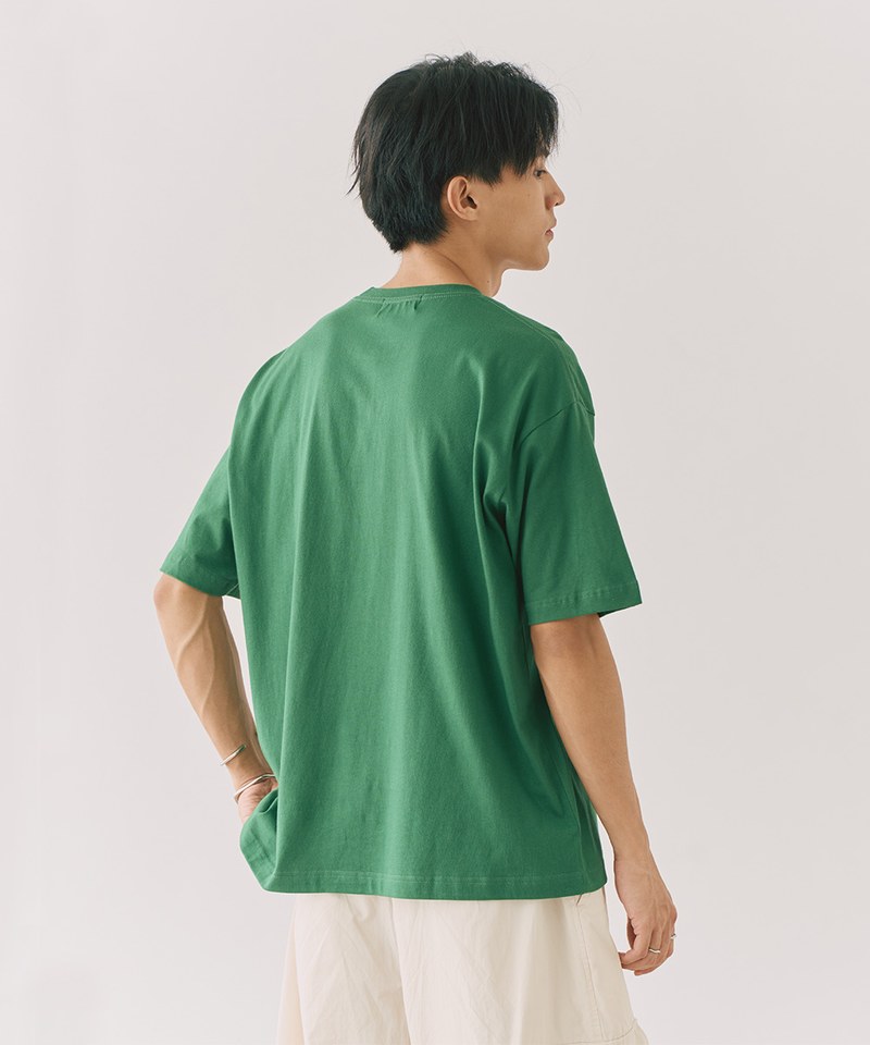 電療小虎圖TEE