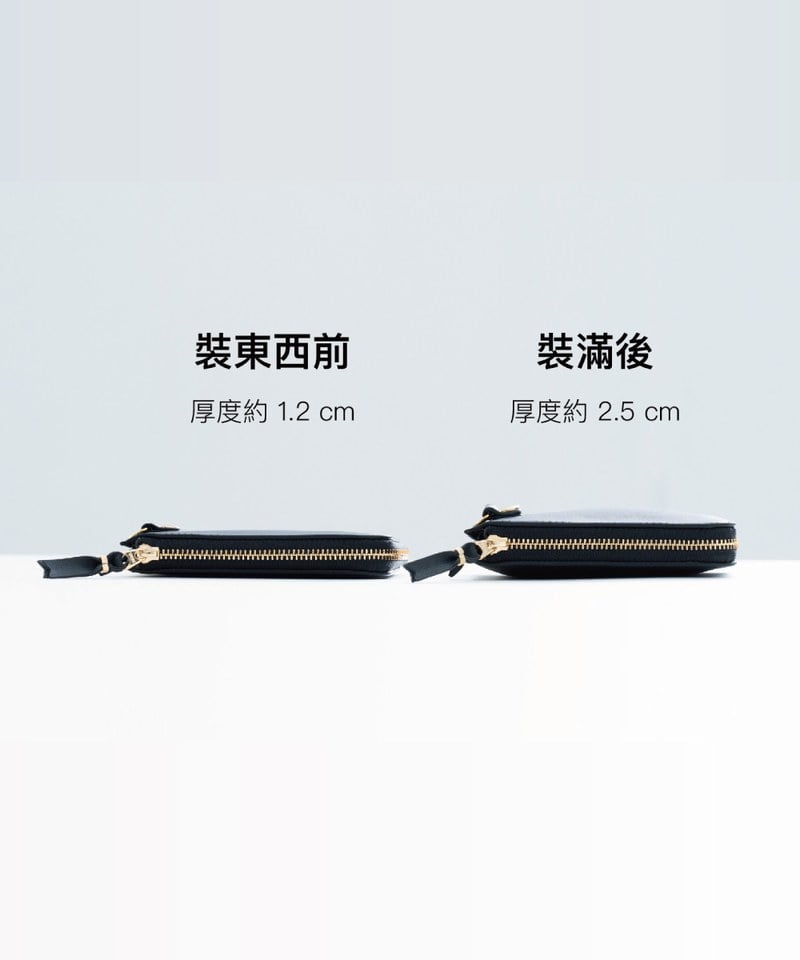 CRV30110-251 plain-me X allrover 好野皮夾 TIGER