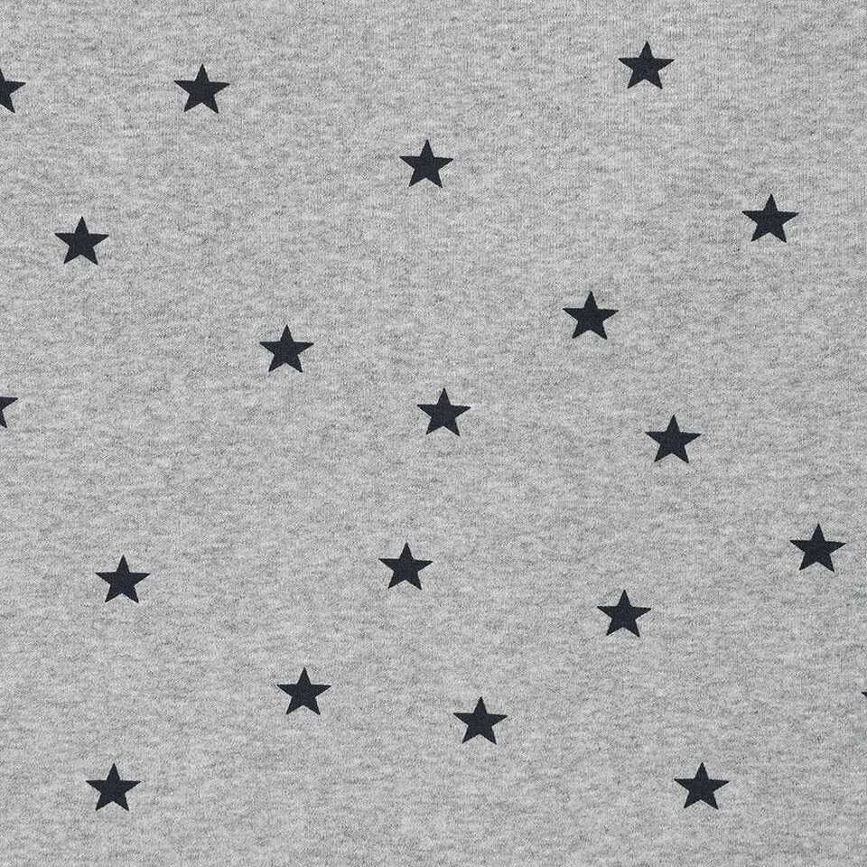 條紋星星長TEE STRIPED STAR RAGLAN LS TEE