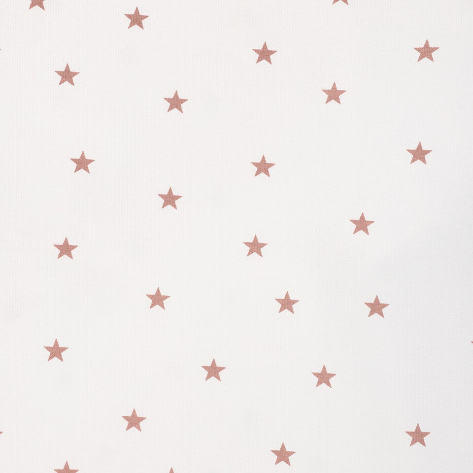 條紋星星長TEE STRIPED STAR RAGLAN LS TEE