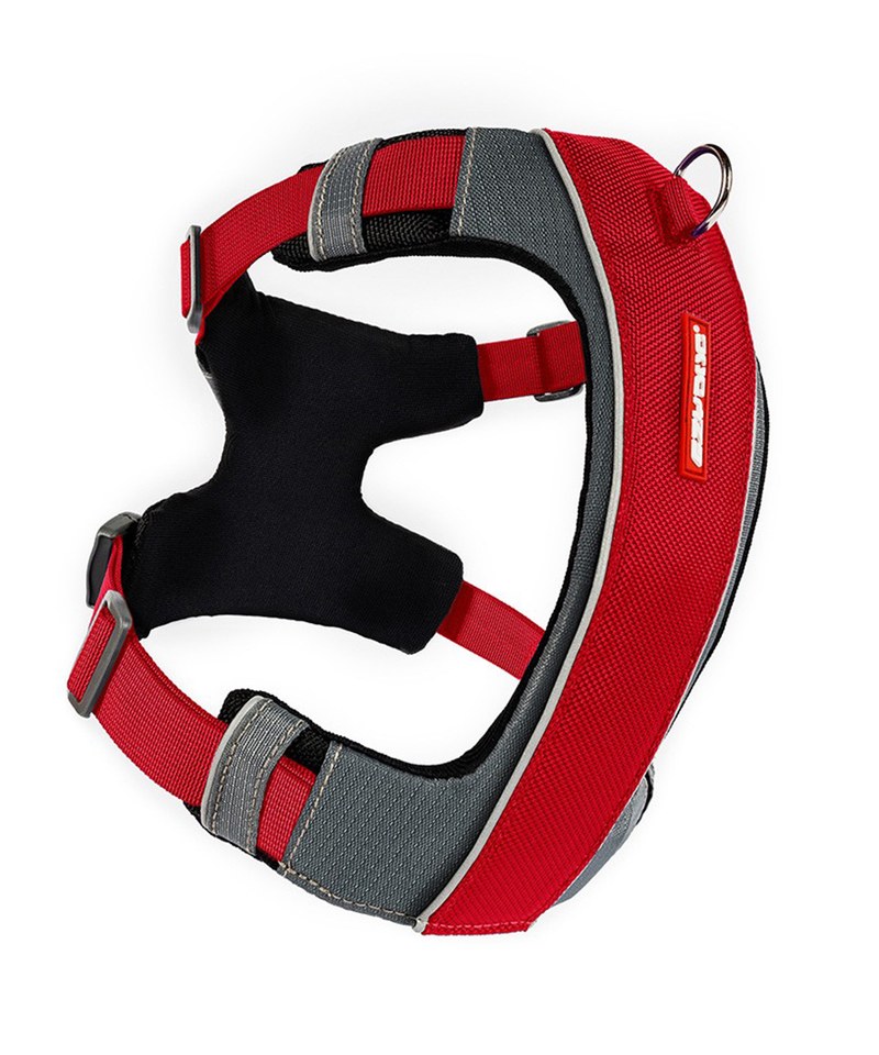 X-LINK  HARNESSＸ雙制胸背帶 - XL