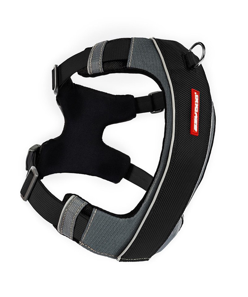 X-LINK  HARNESSＸ雙制胸背帶 - XL