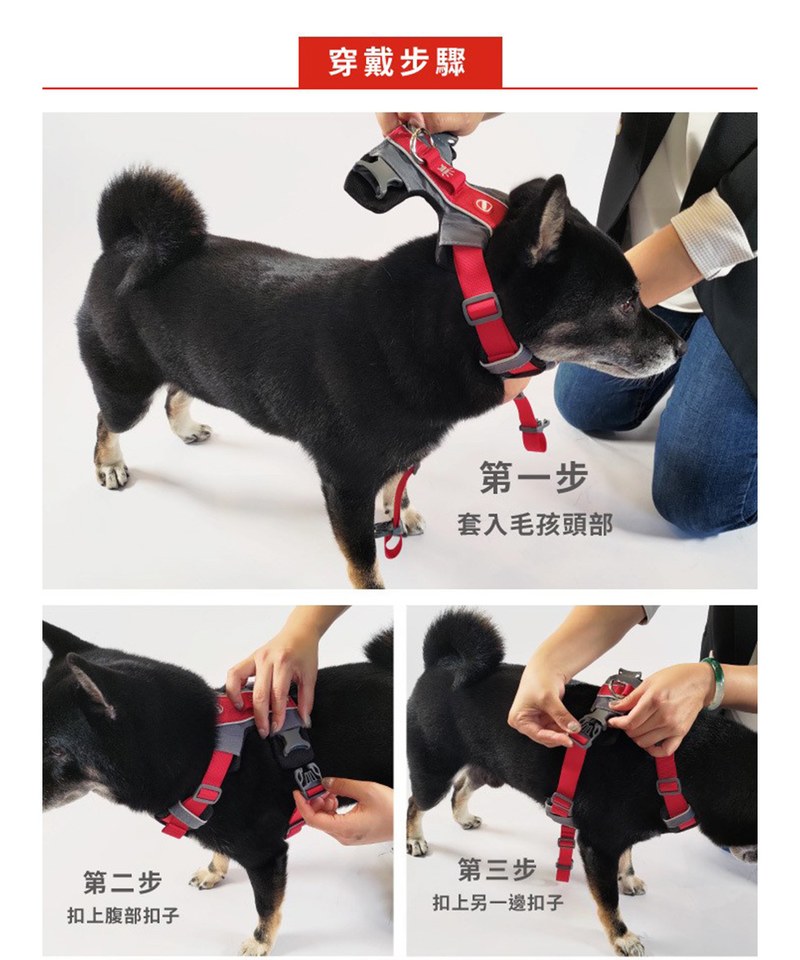 X-LINK  HARNESSＸ雙制胸背帶