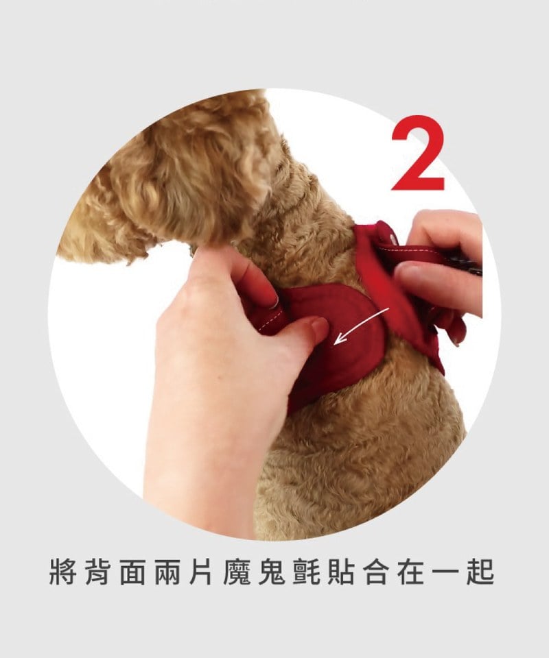 動能透氣胸背帶 ( 2XS / XS )