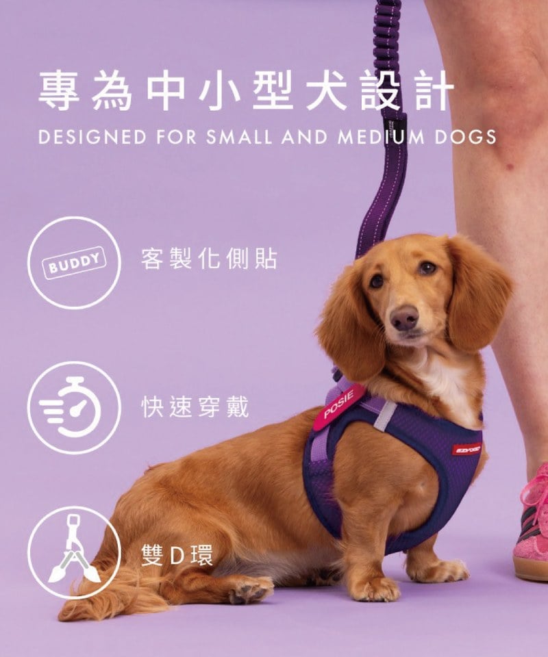EZY3907-251 動能透氣胸背帶 ( S / M )