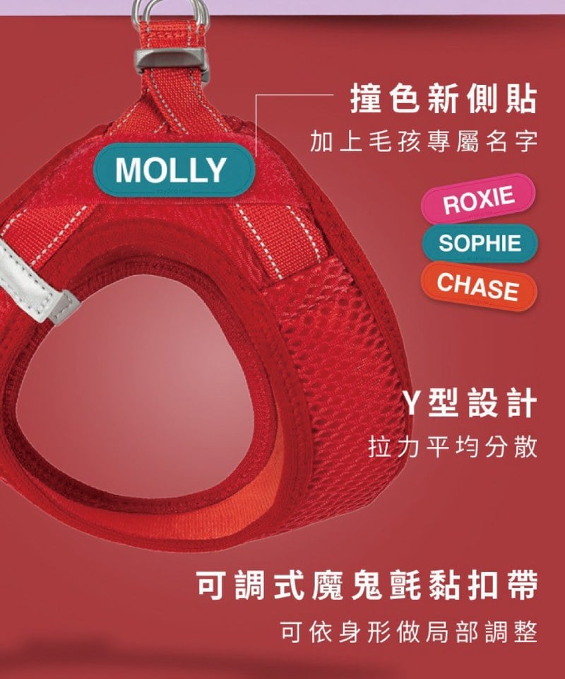 EZY3907-251 動能透氣胸背帶 ( S / M )