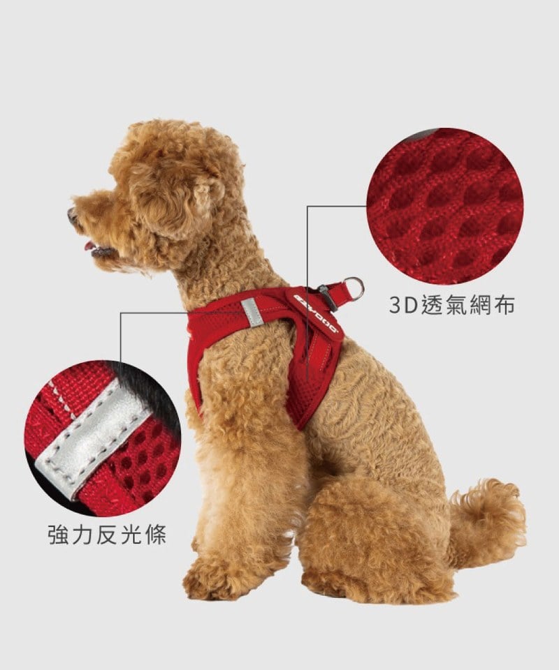 EZY3907-251 動能透氣胸背帶 ( S / M )