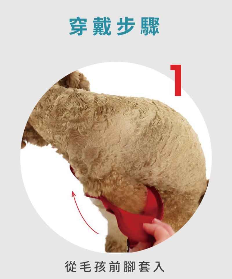 EZY3907-251 動能透氣胸背帶 ( S / M )