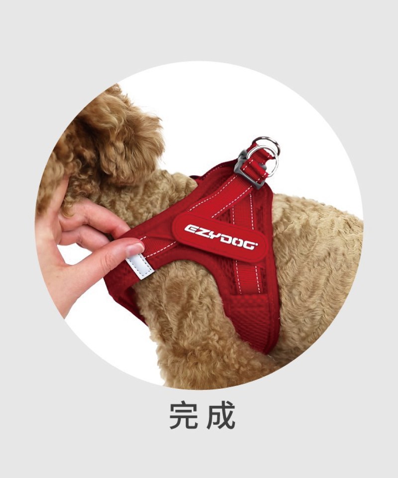 EZY3907-251 動能透氣胸背帶 ( S / M )