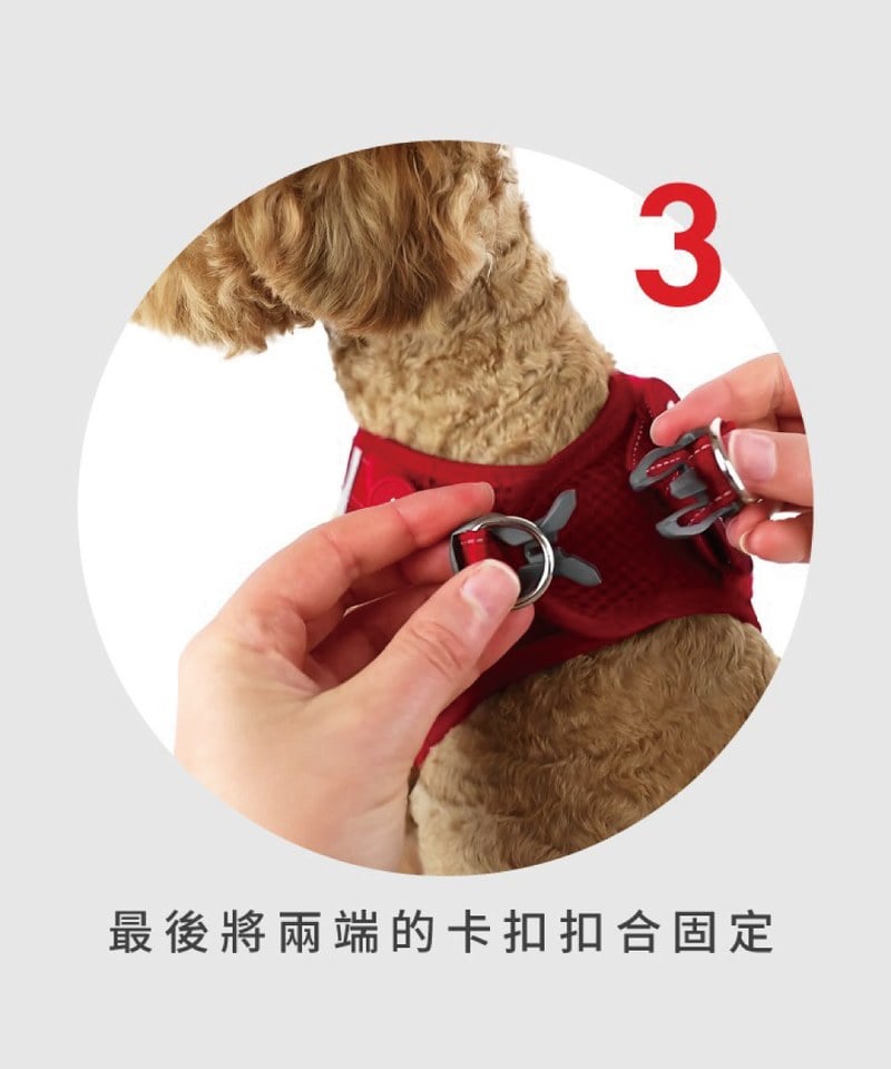 動能透氣胸背帶 ( L / XL )