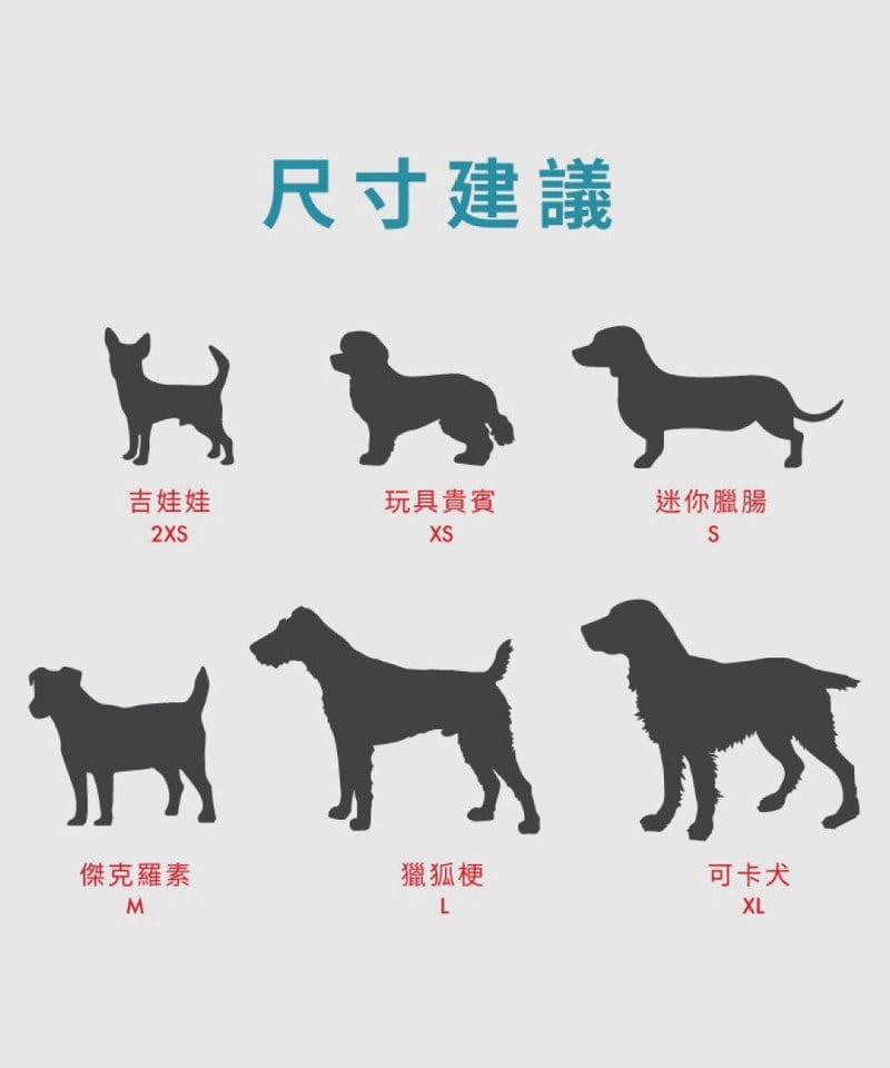動能透氣胸背帶 ( L / XL )