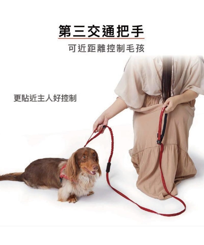 RUNNER COLLECTION 輕巧版跑步牽繩