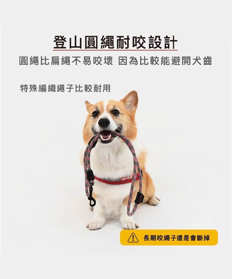 EZY3920-251 Summit Leash Lite 輕巧版頂峰牽繩