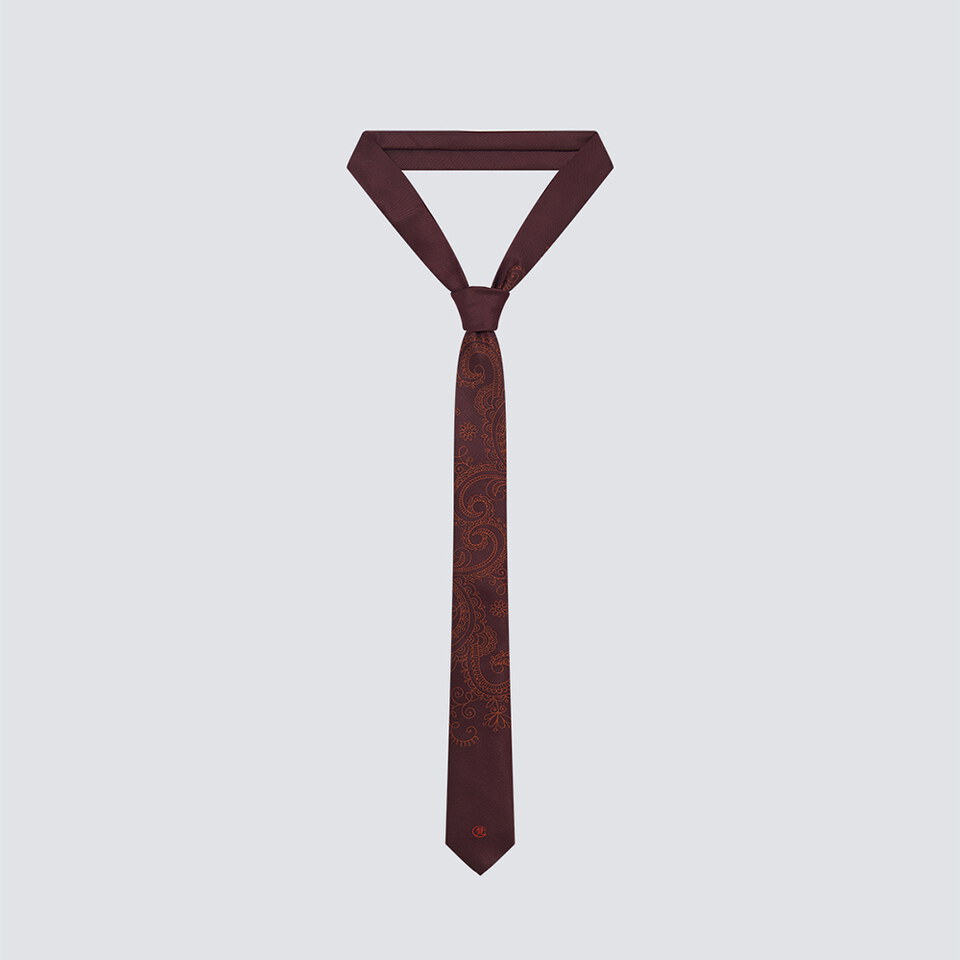 FMB99228-261 腰果紋領帶