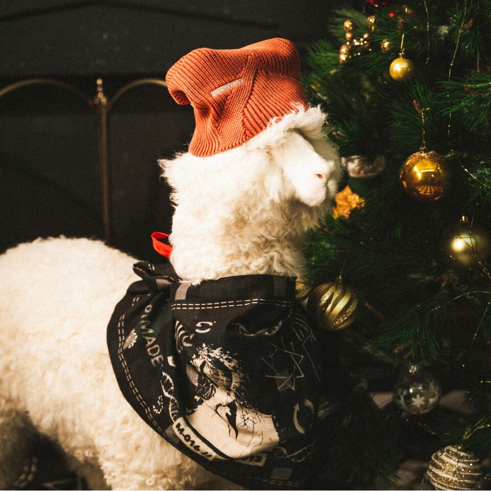 Xms A GOOPiMADE Hidden Logo Beanie