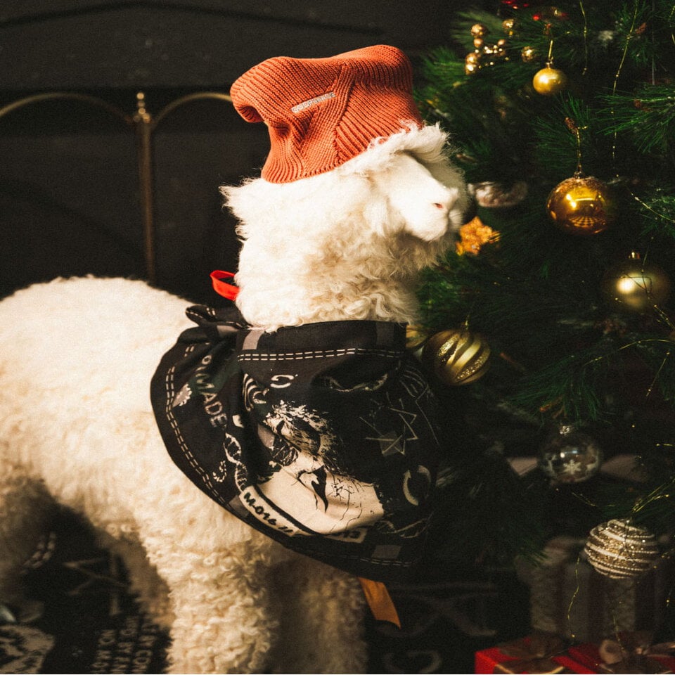 Xms B Ancient Concept Graphic Bandana