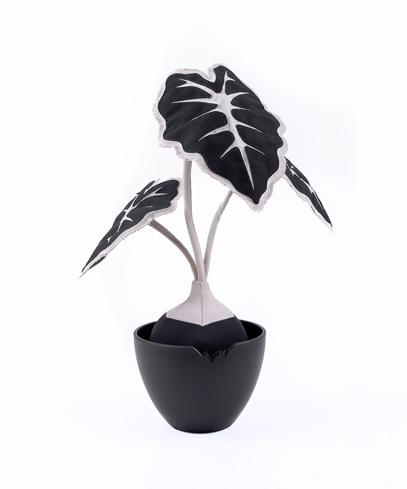 HKE3911-232 黑格觀音蓮