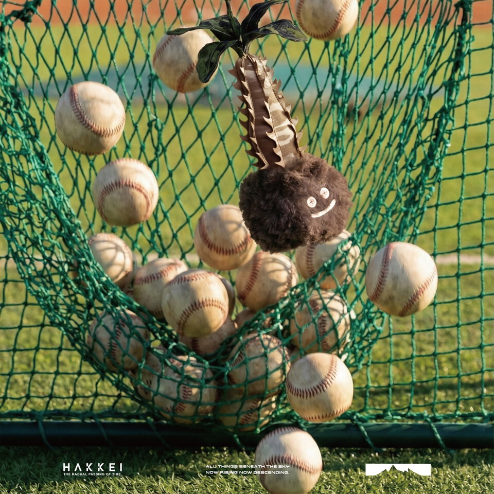 巴氏棒槌樹豆吉