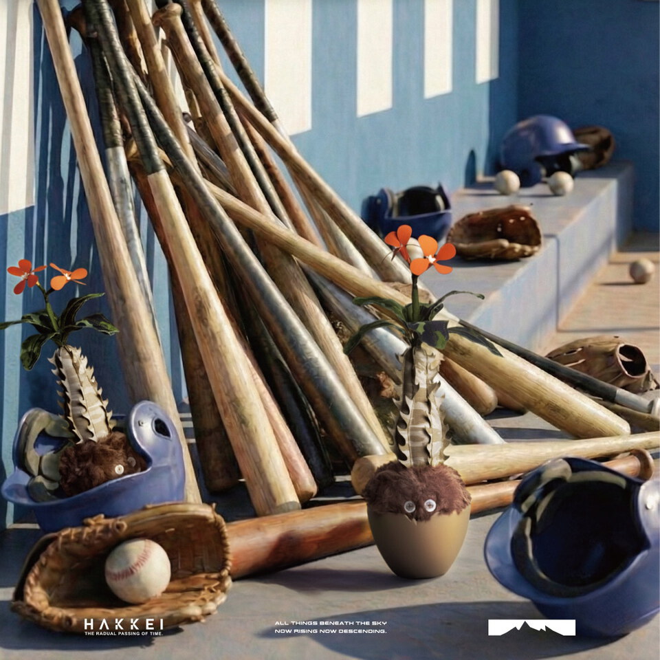 巴氏棒槌樹豆吉