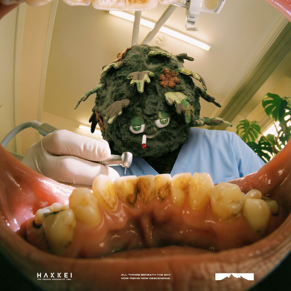 HKE3939-261 大麻花惹發