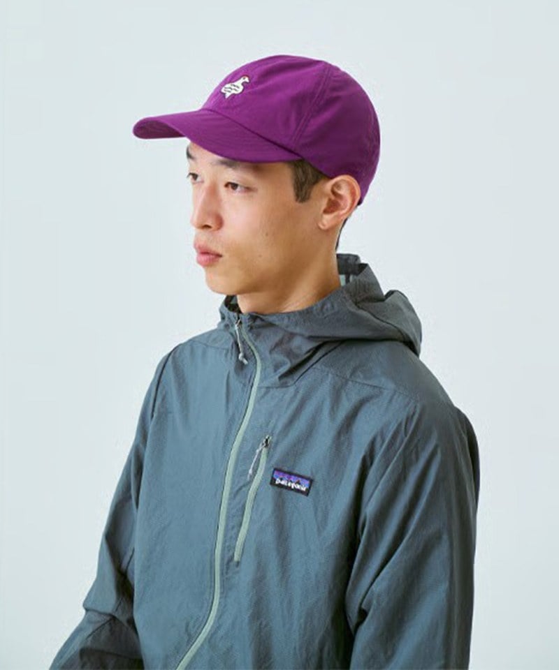 HLC23107-251 刺繡六片帽 雷鳥 Cap