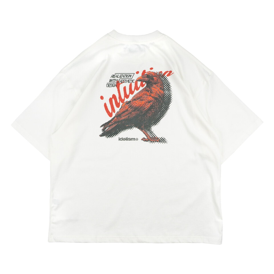 IDE0156-262 烏鴉水洗短上衣 Crow Wash Tee