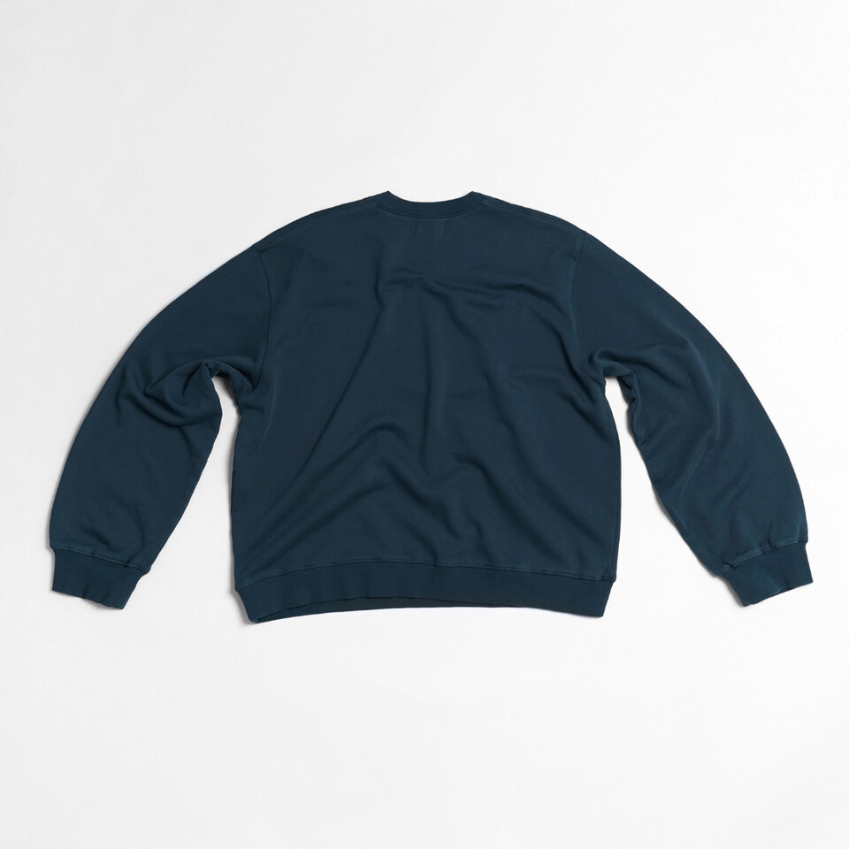MSN0144-262 茄子大學 Tee Eggplant Veggie LS Tee