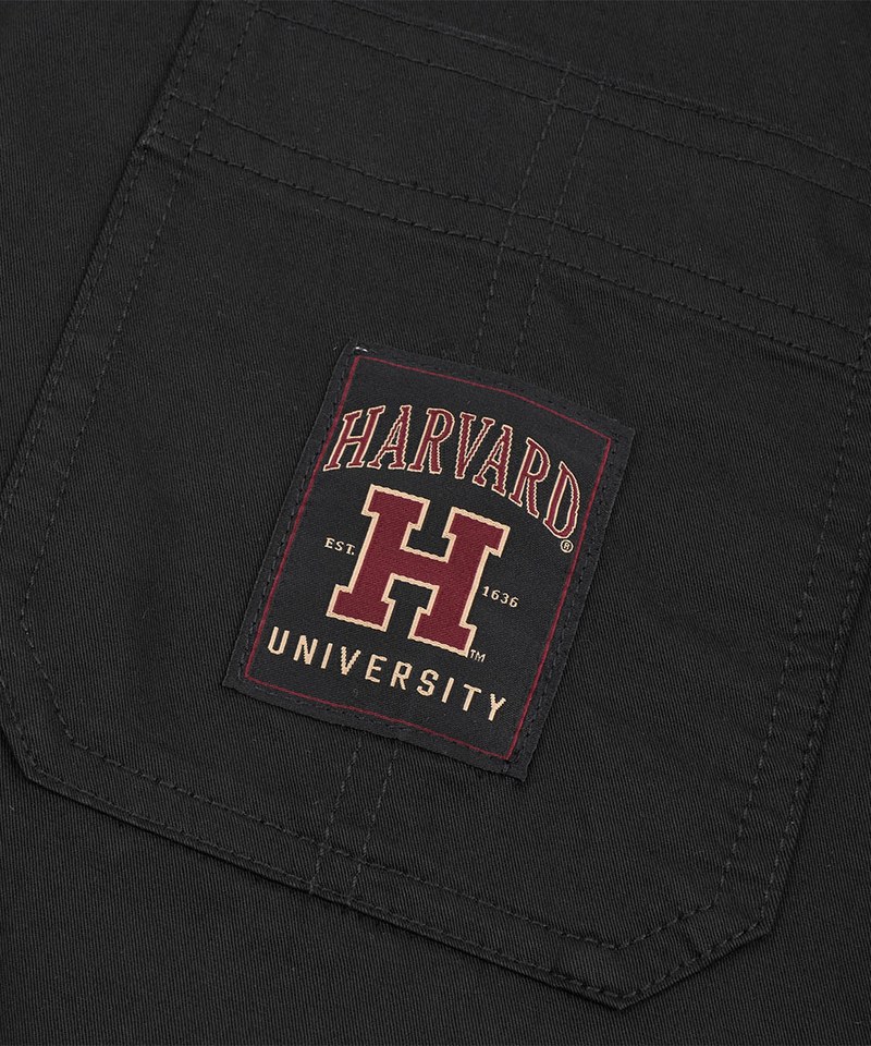 基本織標工裝襯衫