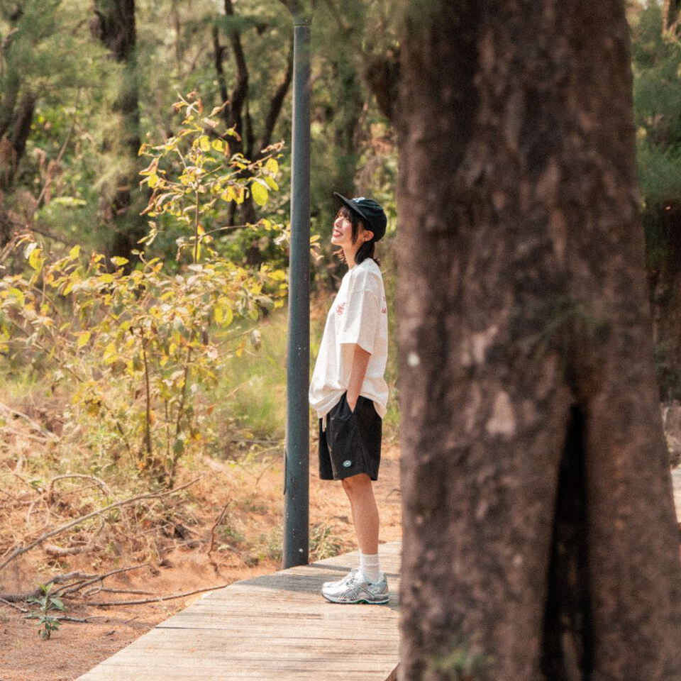 ORD1717-261 海灘褲