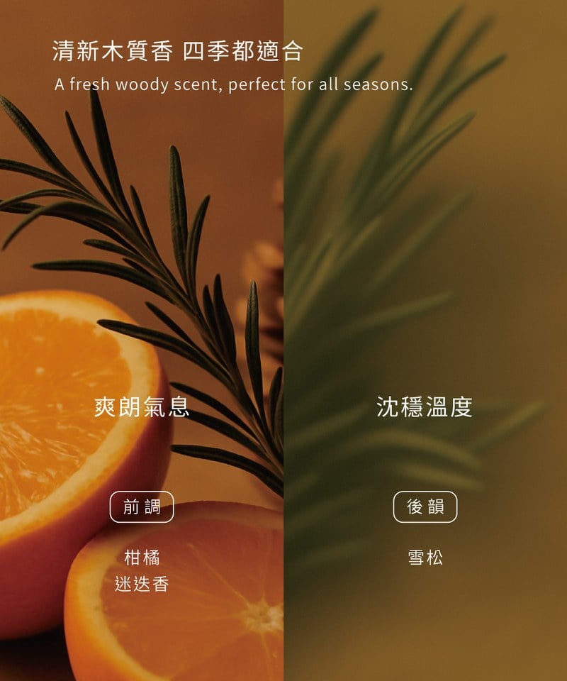 PLAIN淨化沐浴露