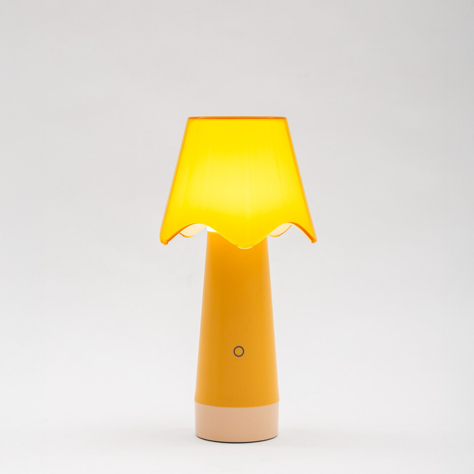 SBC9907-252 Fungo 花漾移動小燈