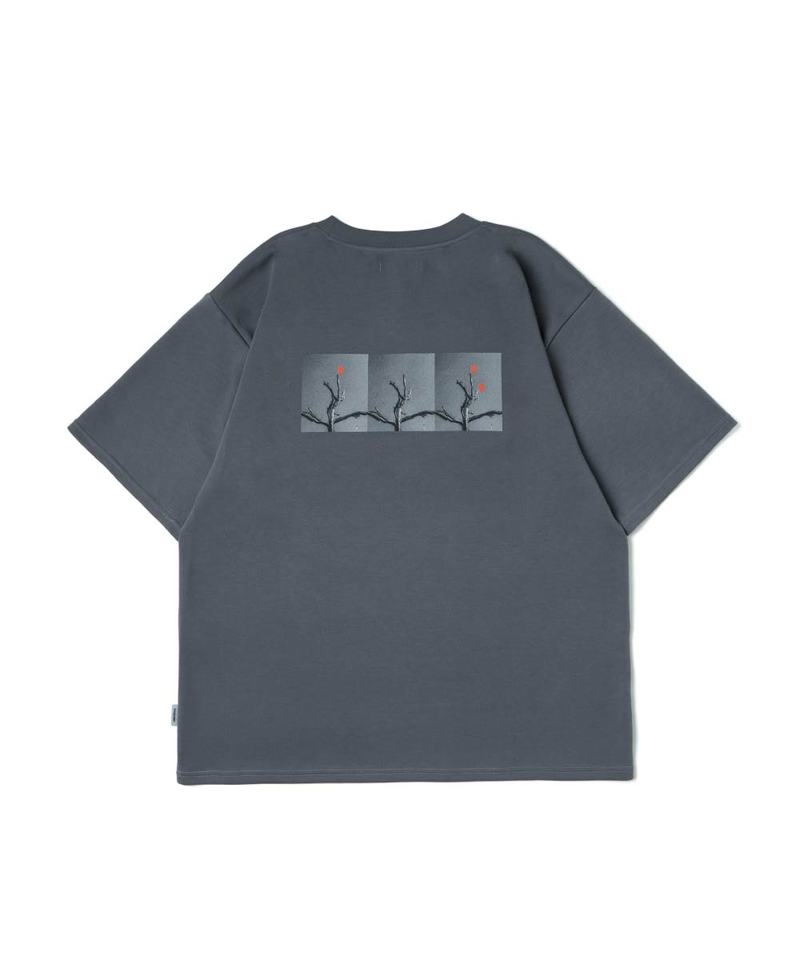WDM0149-252 WISDOM x SDW 圖像短袖上衣 DEVELOPS GRAPHIC SS T-SHIRT