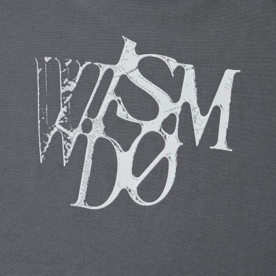 圖像短TEE WISDOM SHINCOOL GRAPHIC SS T-SHIRT