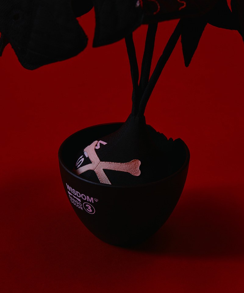 聯名龍骸龜背芋 Wisdom x Hakkei Potted Plant