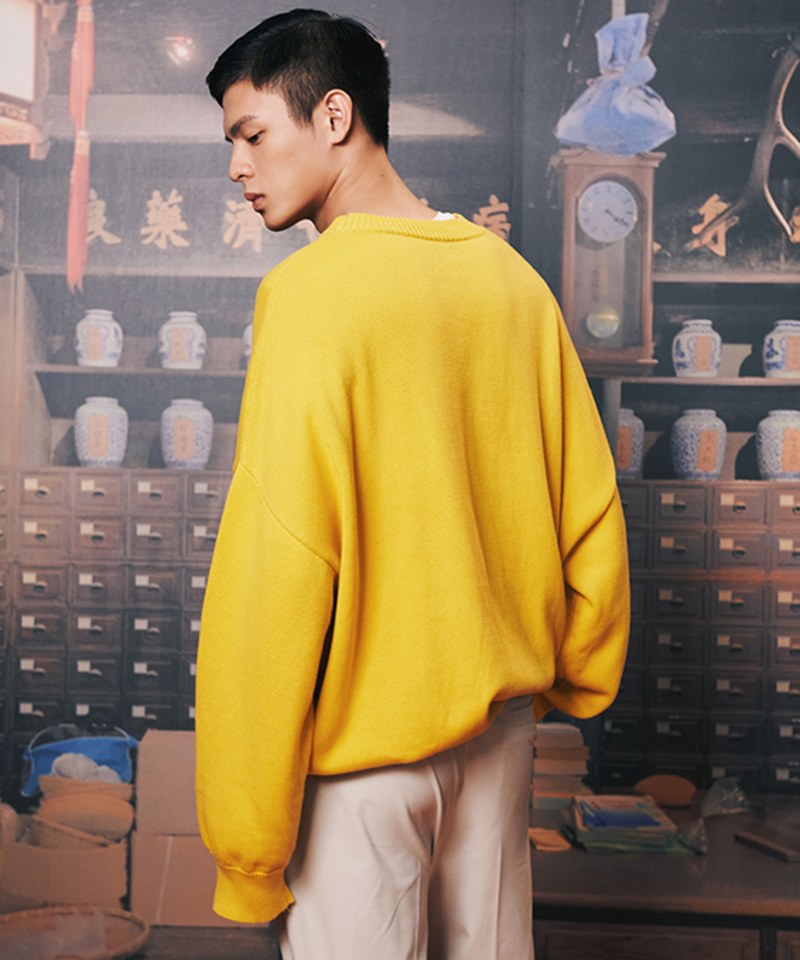 Robin Tang X plain-me保介人蔘復古毛衣
