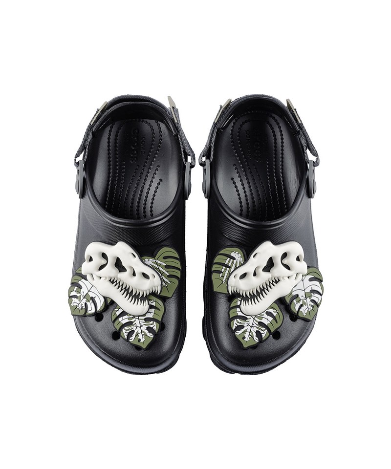 恐龍鞋扣 一組兩入 Bone On Feet Jibbitz