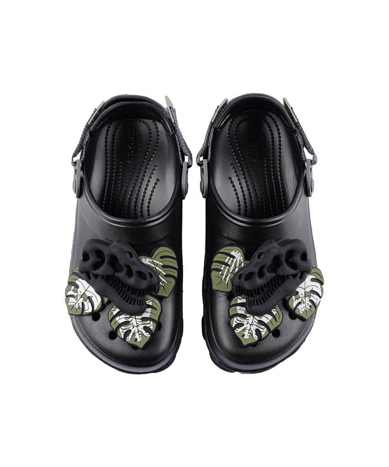 恐龍鞋扣 一組兩入 Bone On Feet Jibbitz