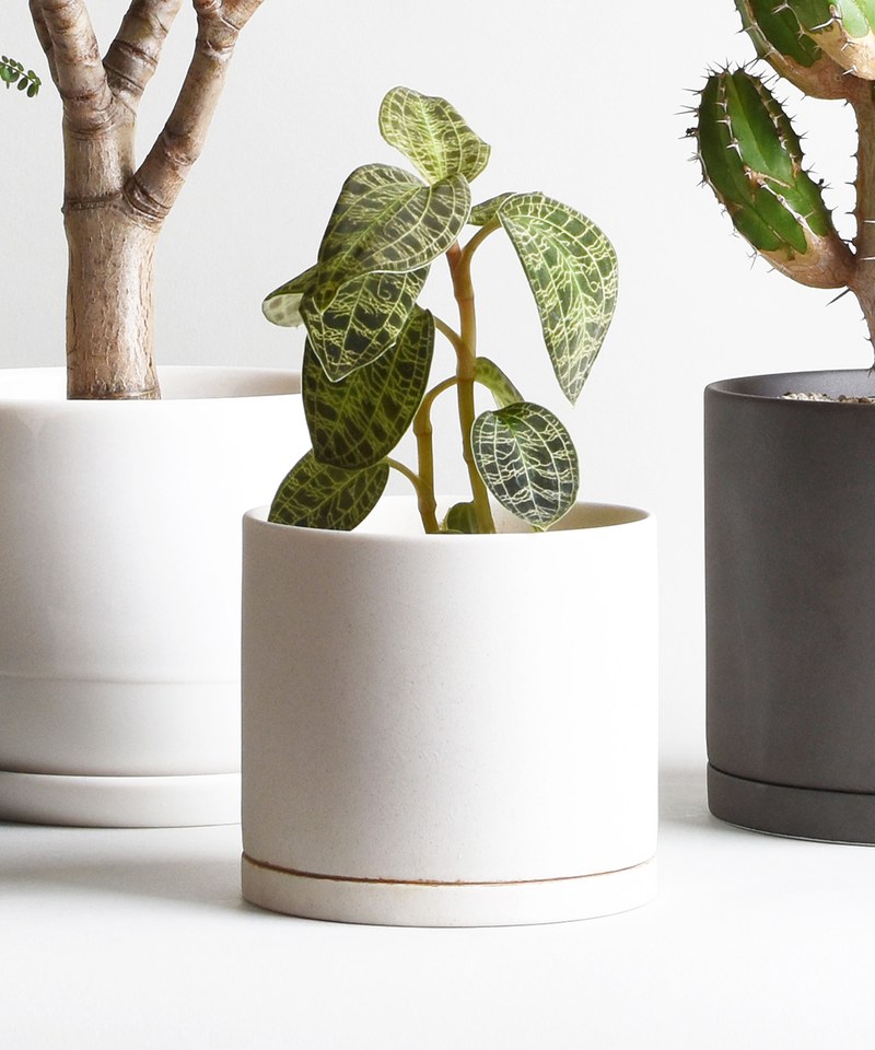 KNT9990 PLANT POT 191 陶瓷花盆 13.5cm