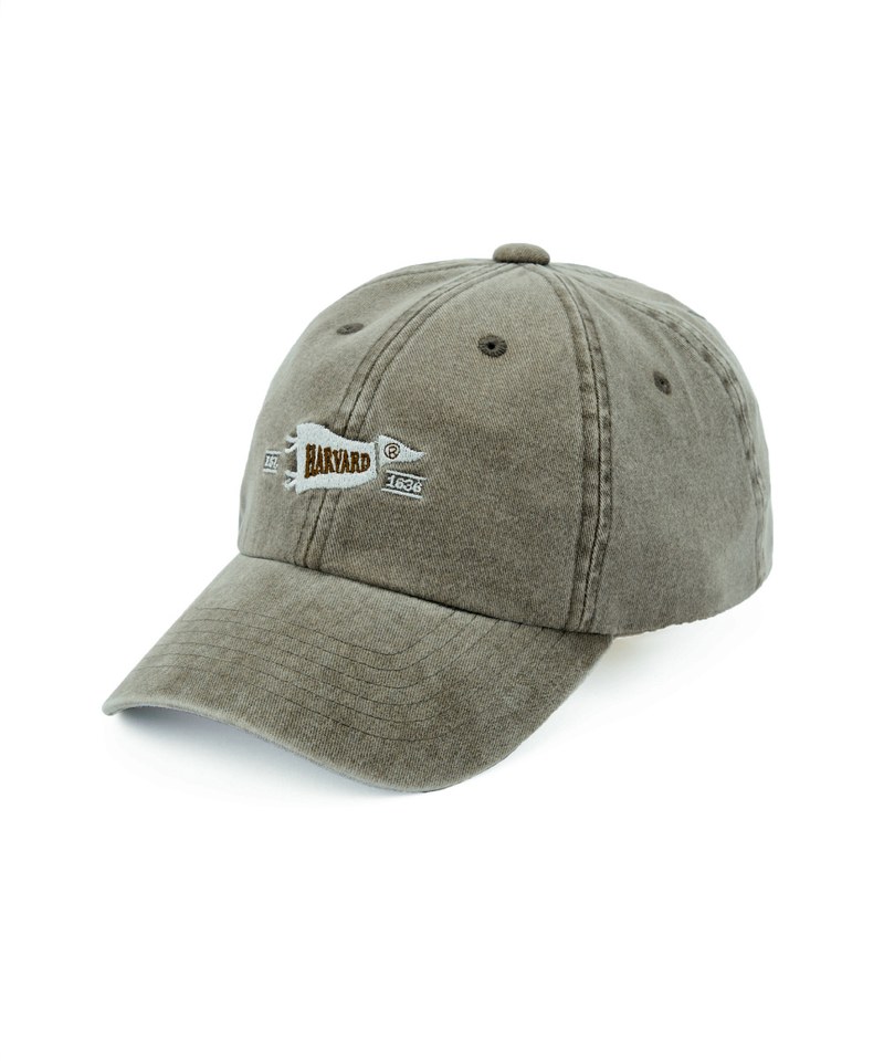 旗幟logo水洗老帽