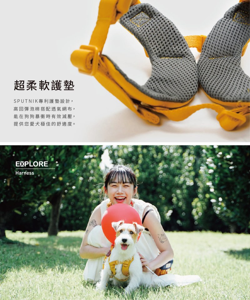 SPN3902-242 胸背帶 Harness S