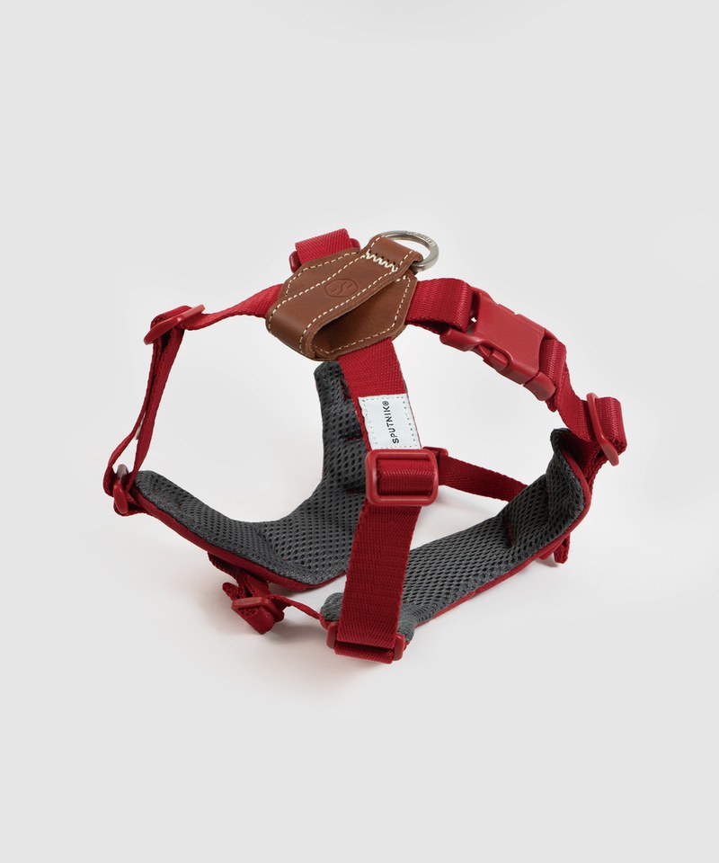 SPN3903-242 胸背帶 Harness M