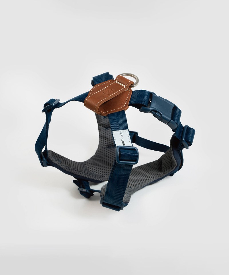 SPN3903-242 胸背帶 Harness M