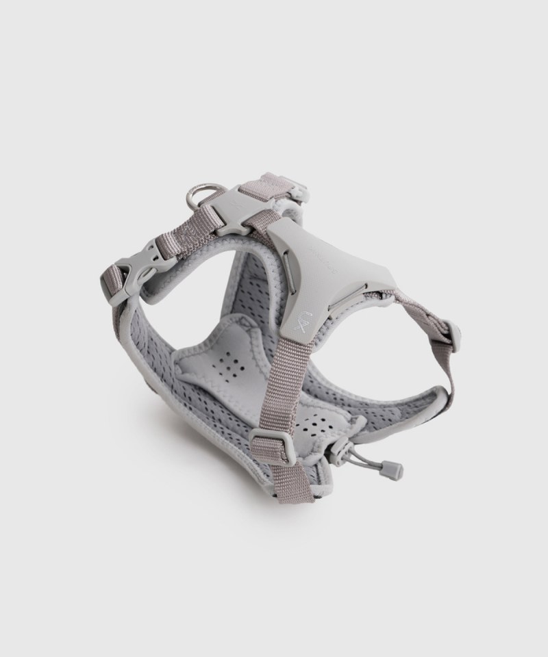 SPN3906-242 終極胸背帶 Ultra Explore Harness S