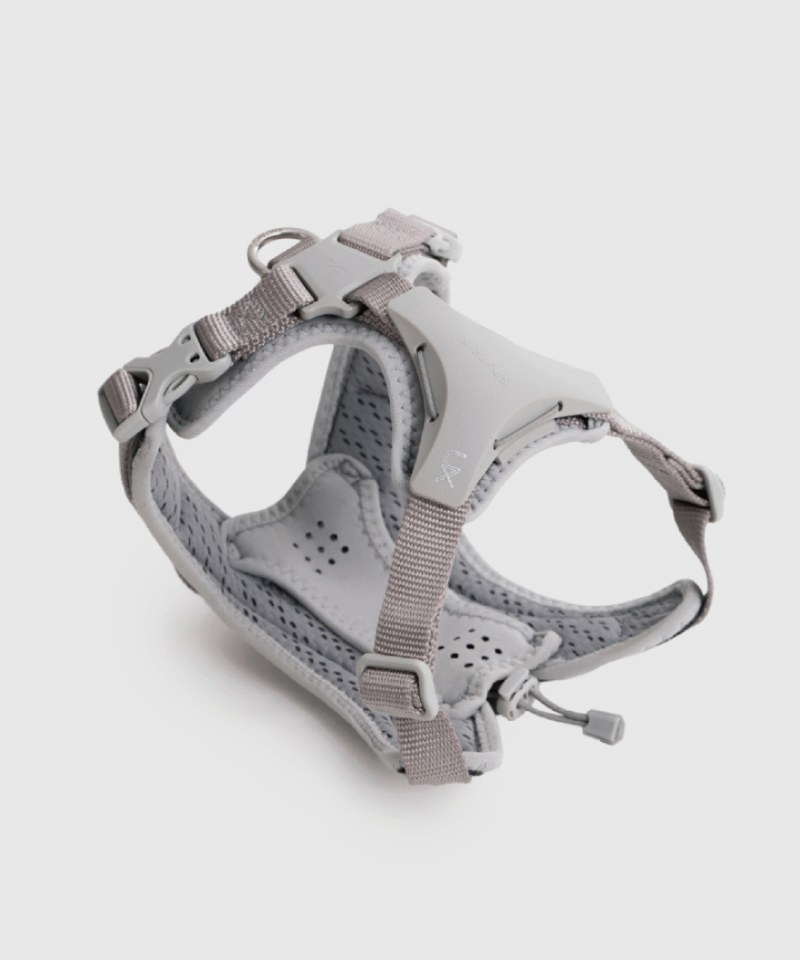 SPN3908-242 終極胸背帶 Ultra Explore Harness L