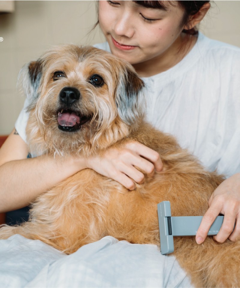 寵物梳子 Pet Comb