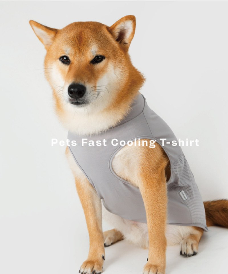 寵物涼感衣 Pets Fast Cooling T-Shirt