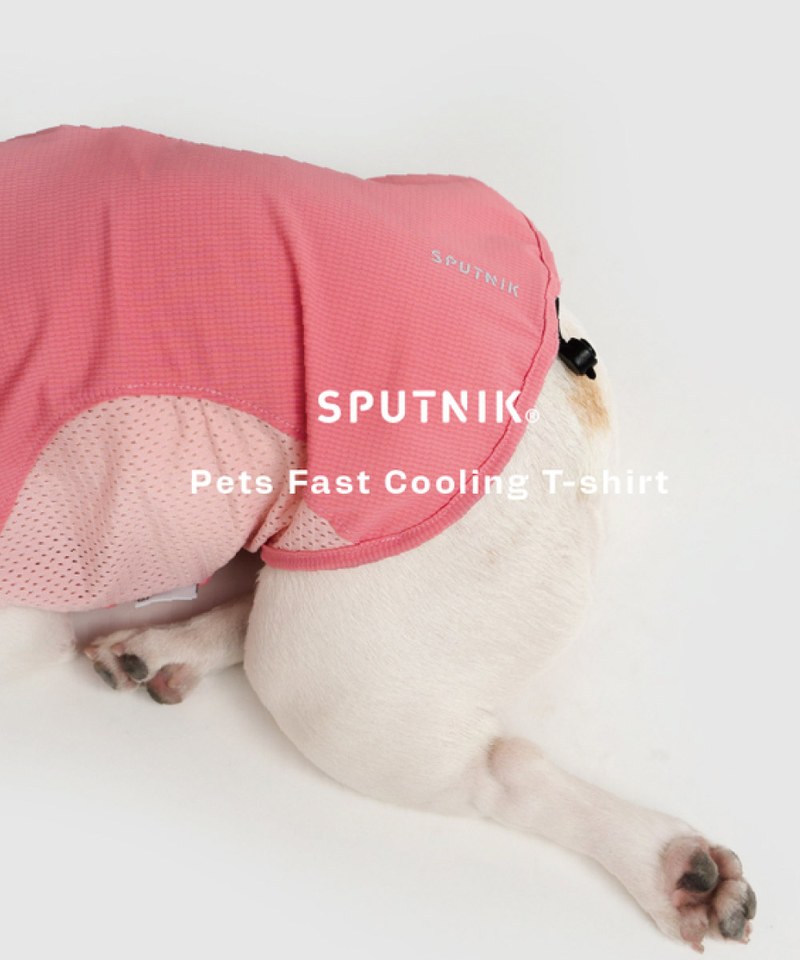 寵物涼感衣 Pets Fast Cooling T-Shirt